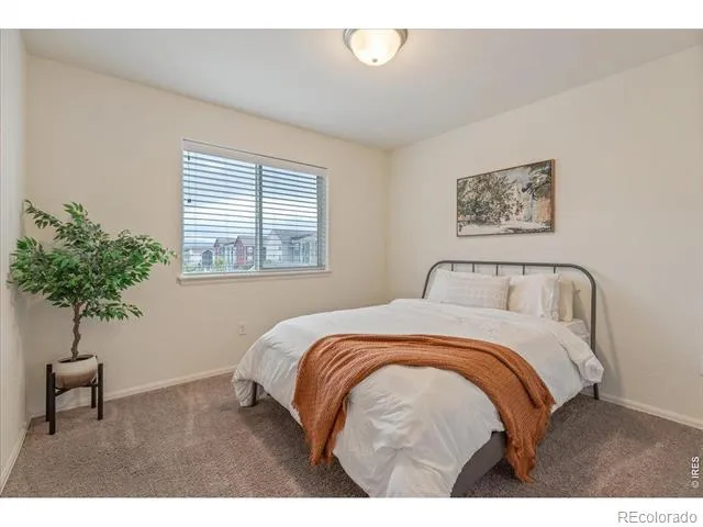 1827 Abundance Drive Windsor, CO 80550
