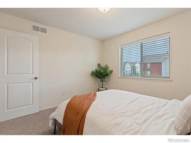 1827 Abundance Drive Windsor, CO 80550