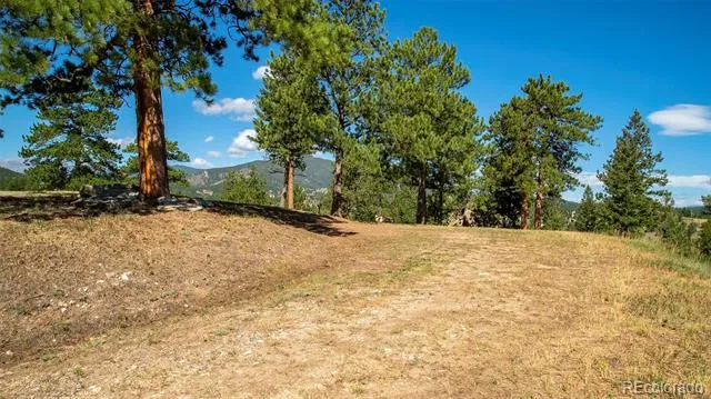 3375 Timbergate Trail Evergreen, CO 80439