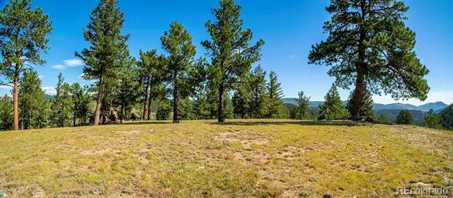 3375 Timbergate Trail Evergreen, CO 80439
