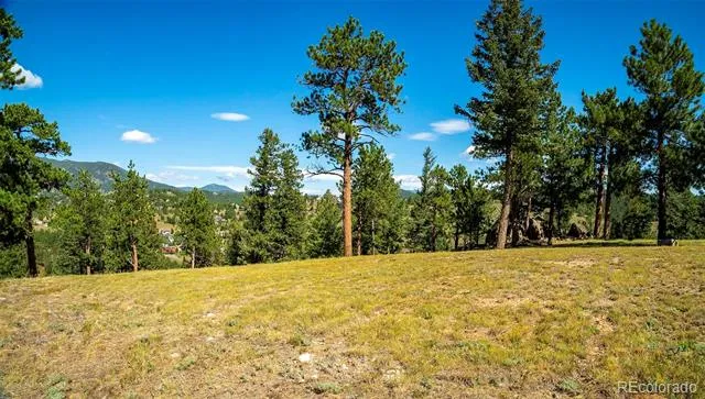 3375 Timbergate Trail Evergreen, CO 80439