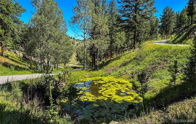 3375 Timbergate Trail Evergreen, CO 80439
