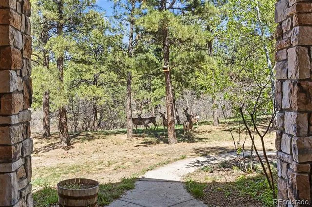9676 S Perry Park Road Larkspur, CO 80118