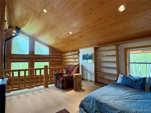 834 Lodge Pole Drive Leadville, CO 80461