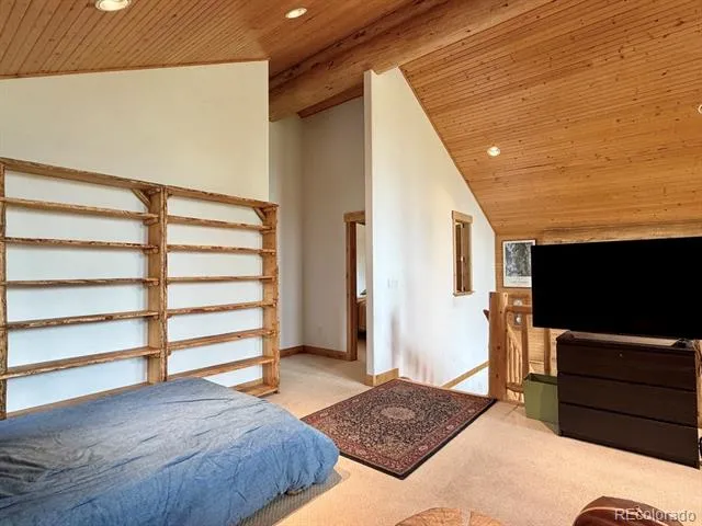 834 Lodge Pole Drive Leadville, CO 80461