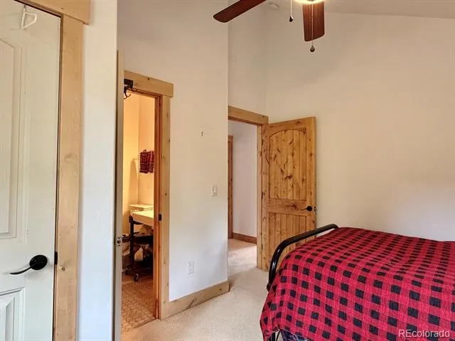 834 Lodge Pole Drive Leadville, CO 80461