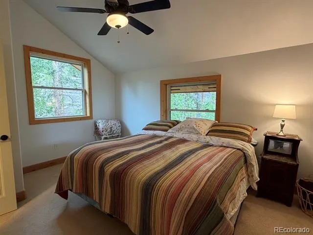 834 Lodge Pole Drive Leadville, CO 80461