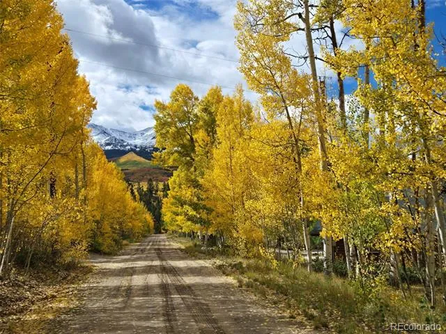 834 Lodge Pole Drive Leadville, CO 80461