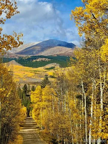 834 Lodge Pole Drive Leadville, CO 80461
