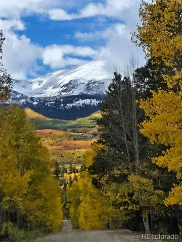 834 Lodge Pole Drive Leadville, CO 80461