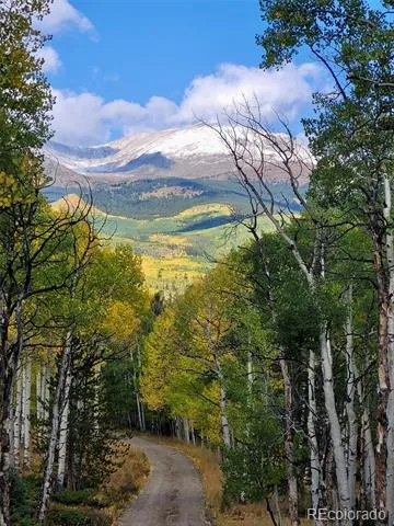 834 Lodge Pole Drive Leadville, CO 80461