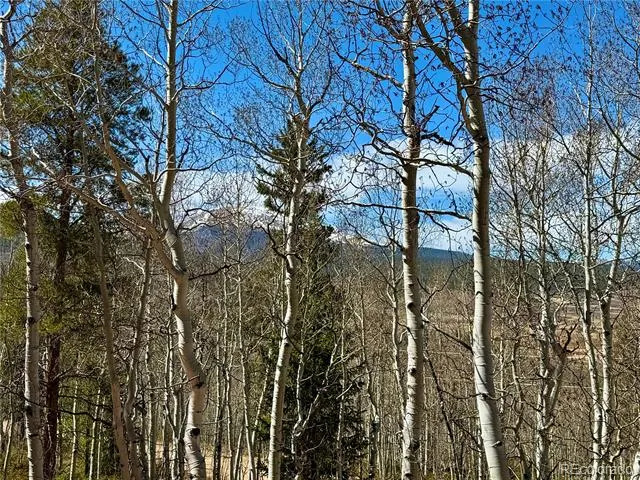 834 Lodge Pole Drive Leadville, CO 80461