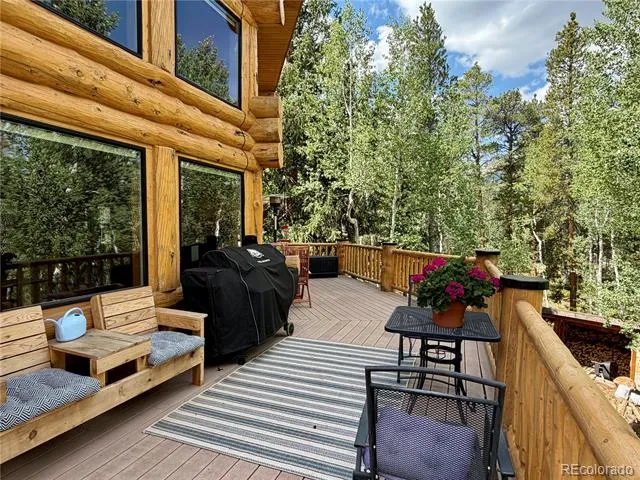 834 Lodge Pole Drive Leadville, CO 80461