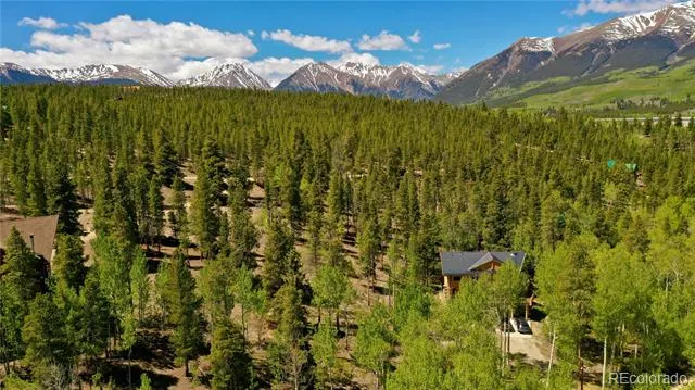 834 Lodge Pole Drive Leadville, CO 80461