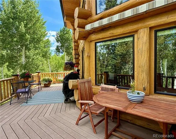 834 Lodge Pole Drive Leadville, CO 80461
