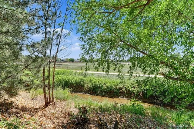 1440 E 128th Court Thornton, CO 80241