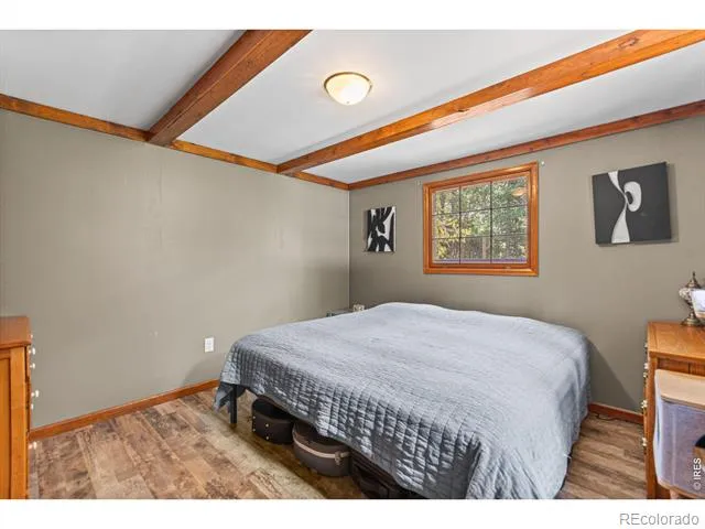 21 Breezewood Lane Black Hawk, CO 80422