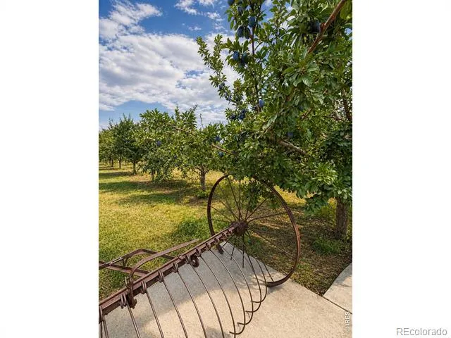1788 Iron Wheel Drive #1 Windsor, CO 80550