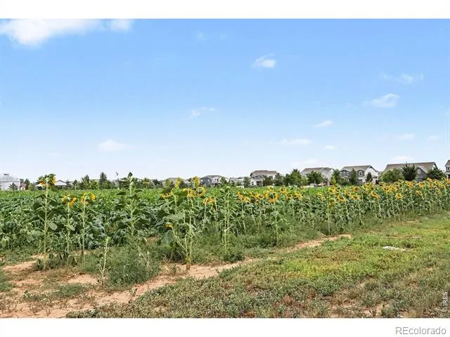 1788 Iron Wheel Drive #1 Windsor, CO 80550