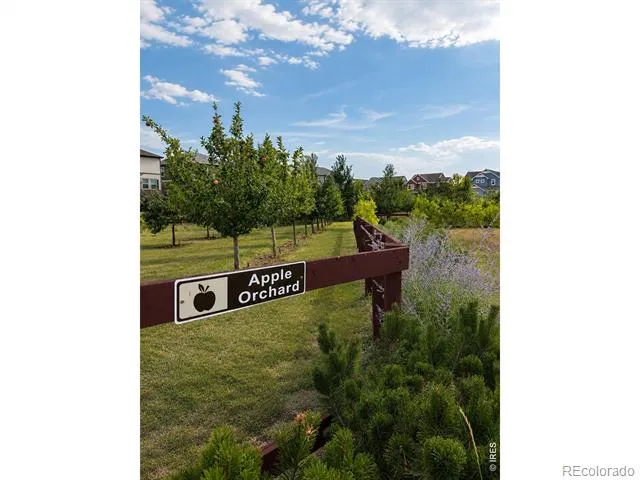 1788 Iron Wheel Drive #1 Windsor, CO 80550