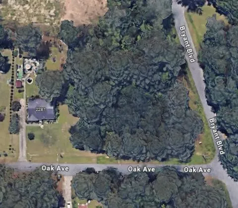 0 Oak Avenue Morrow, GA 30260