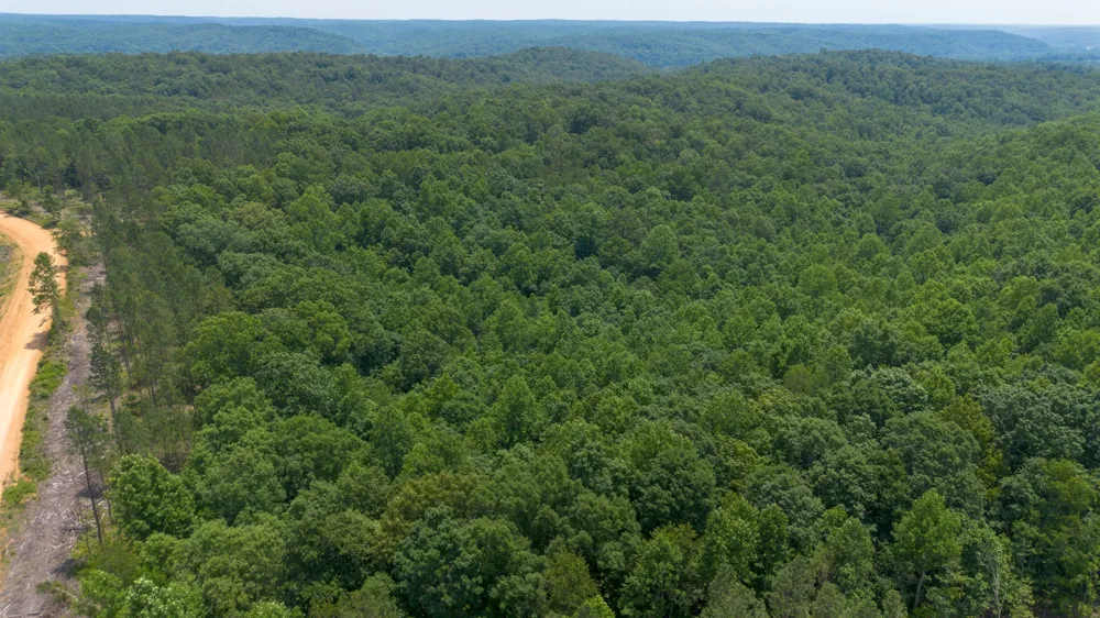 0 Salem Rd Centerville, TN 37033