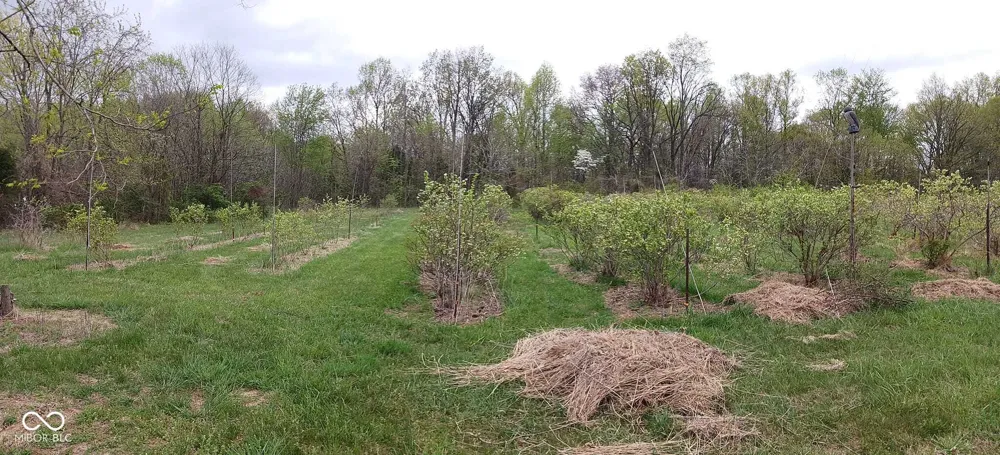 6821 W County Road 700 Freetown, IN 47235