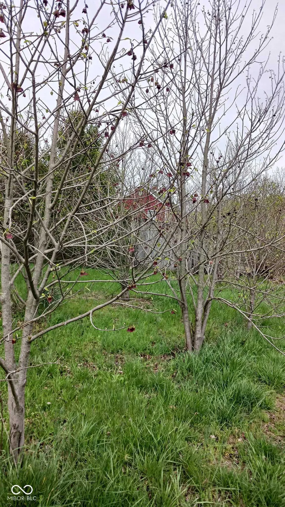 6821 W County Road 700 Freetown, IN 47235