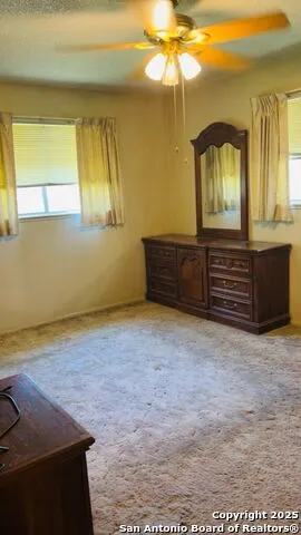 204 SKYLARK DR Fredericksburg, TX 78624