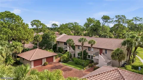 Horse Carriage Way #10