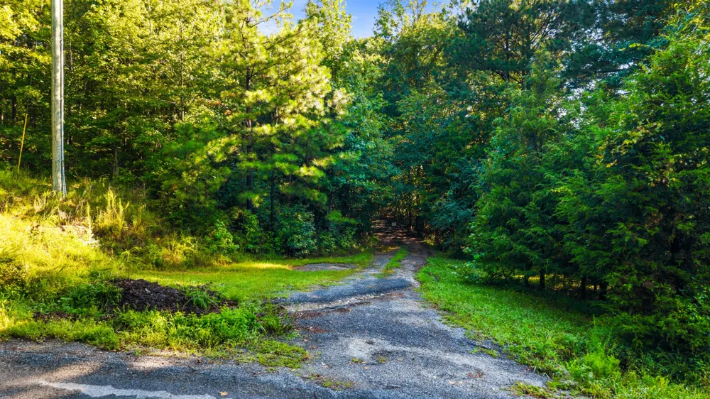 1450 Cottonport Ridge Rd Decatur, TN 37322