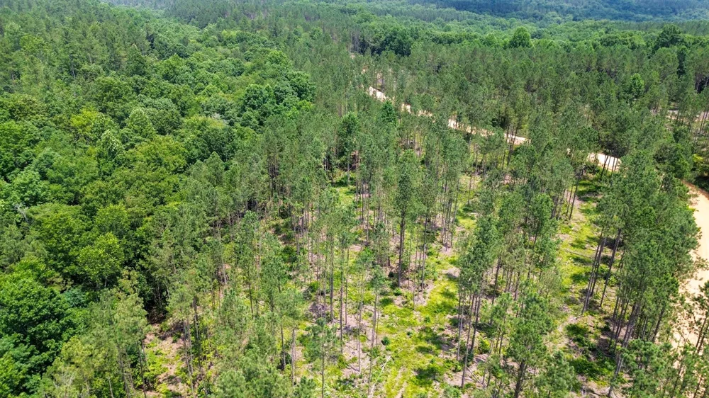 0 Salem Rd Centerville, TN 37033