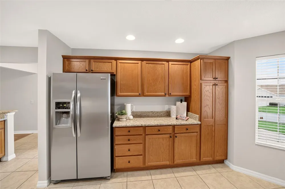 731 BAISLEY TRAIL The Villages, FL 32162