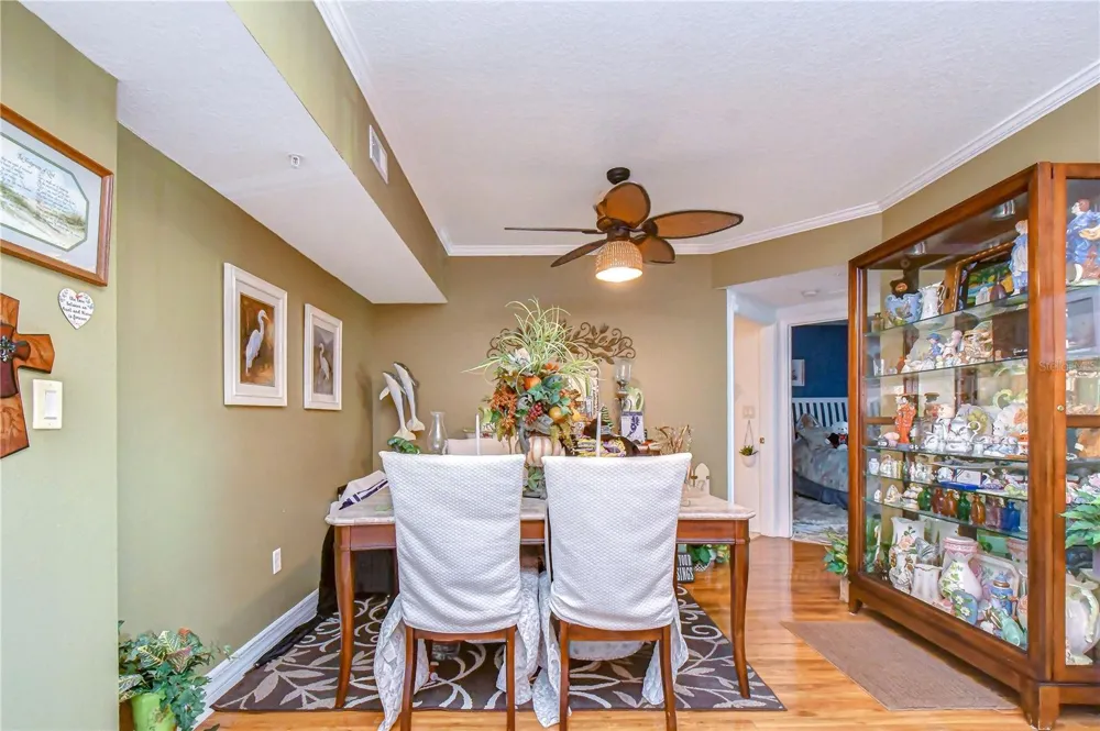 4516 SEAGULL DRIVE #318 New Port Richey, FL 34652