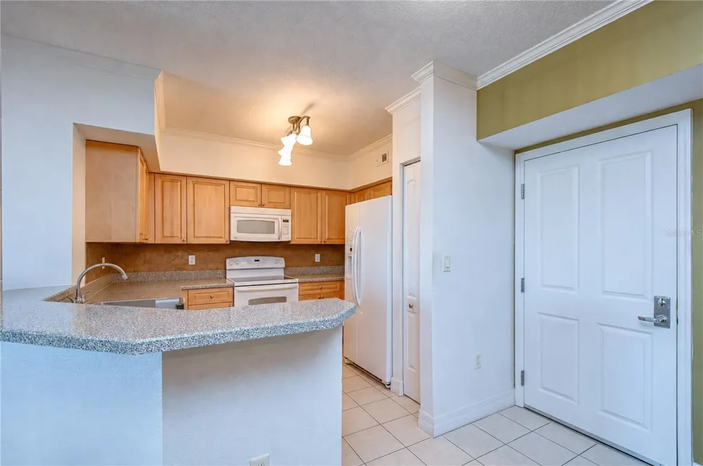 4516 SEAGULL DRIVE #318 New Port Richey, FL 34652
