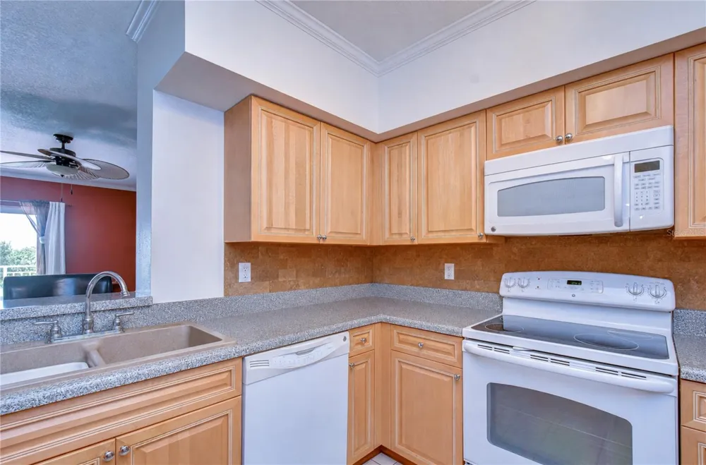 4516 SEAGULL DRIVE #318 New Port Richey, FL 34652