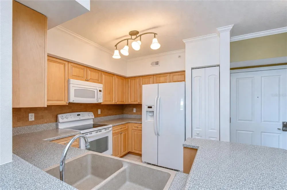 4516 SEAGULL DRIVE #318 New Port Richey, FL 34652