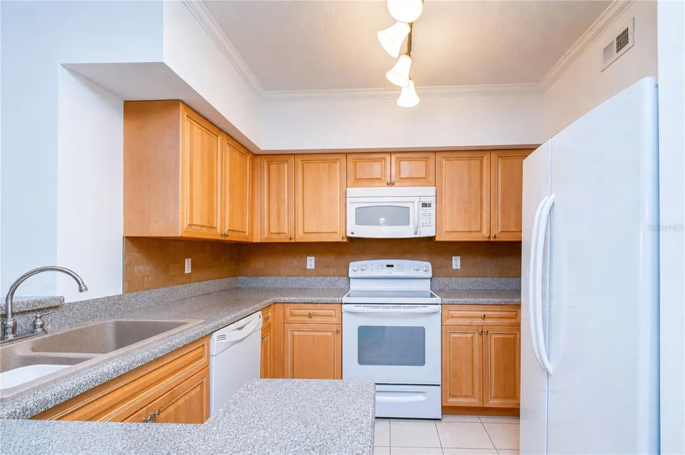4516 SEAGULL DRIVE #318 New Port Richey, FL 34652