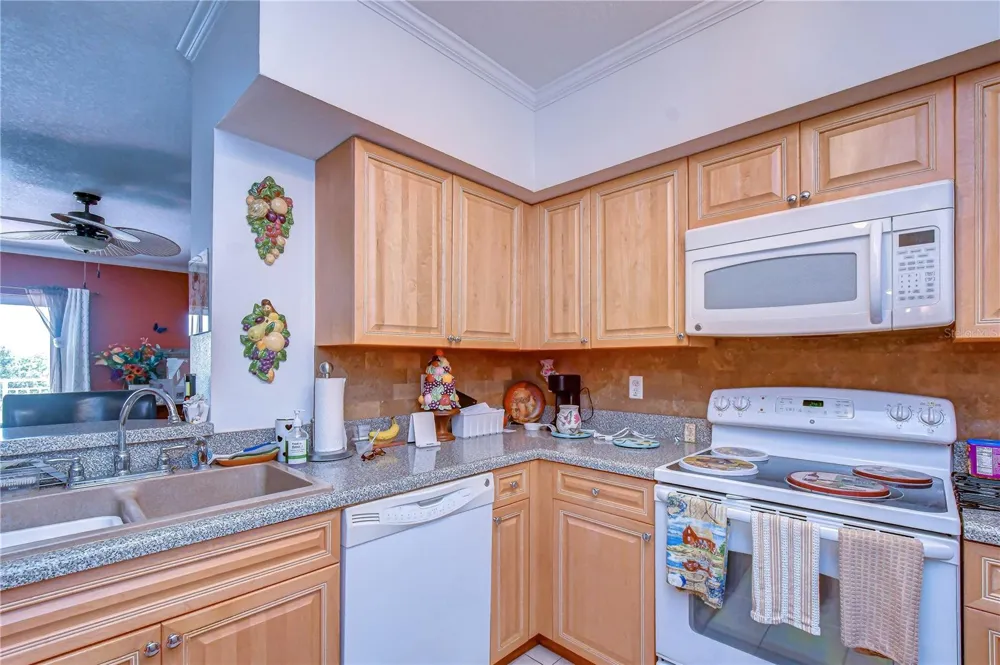 4516 SEAGULL DRIVE #318 New Port Richey, FL 34652
