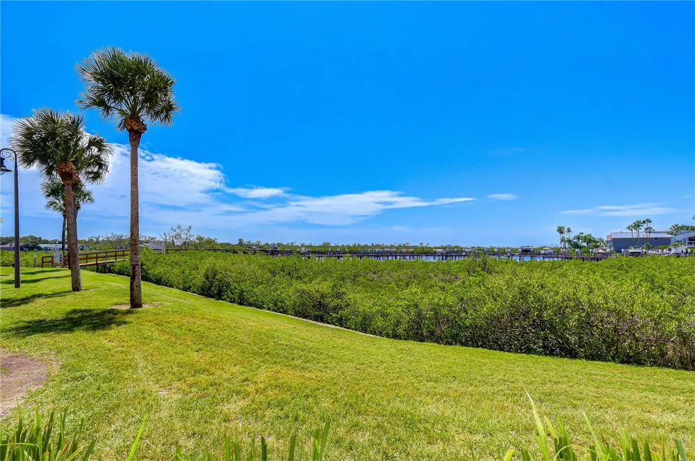 4516 SEAGULL DRIVE #318 New Port Richey, FL 34652
