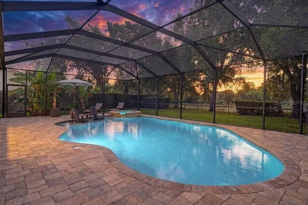 19724 PRINCE BENJAMIN DRIVE Lutz, FL 33549