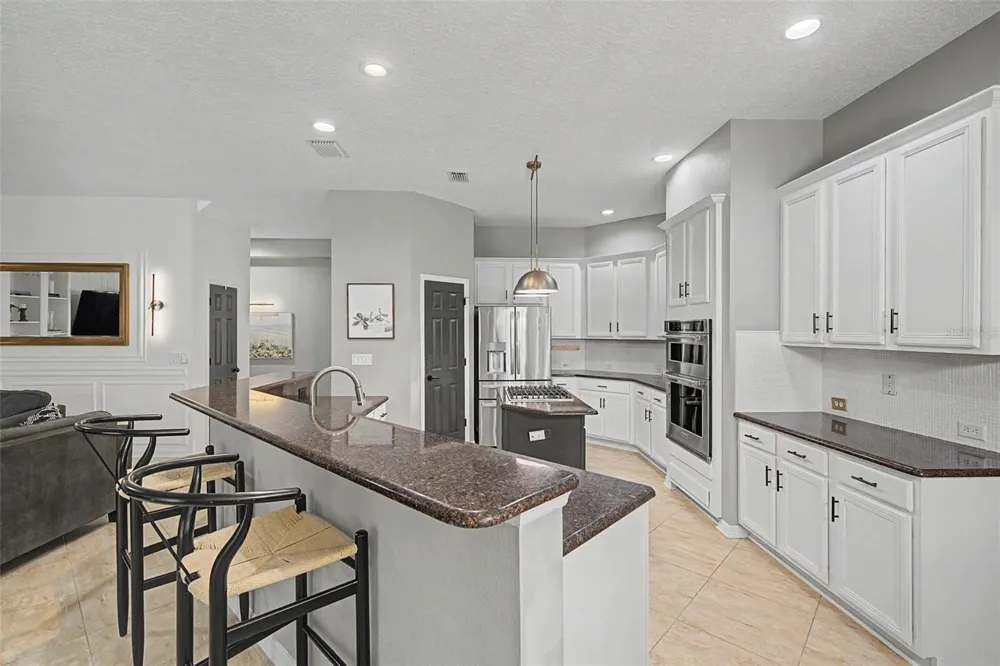 19724 PRINCE BENJAMIN DRIVE Lutz, FL 33549
