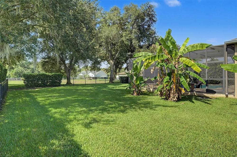 19724 PRINCE BENJAMIN DRIVE Lutz, FL 33549