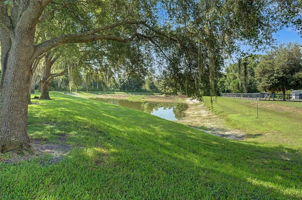 19724 PRINCE BENJAMIN DRIVE Lutz, FL 33549