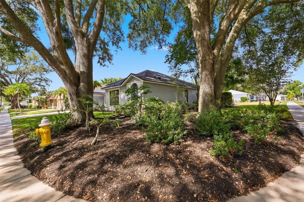 3040 WINDRIDGE OAKS DRIVE Palm Harbor, FL 34684