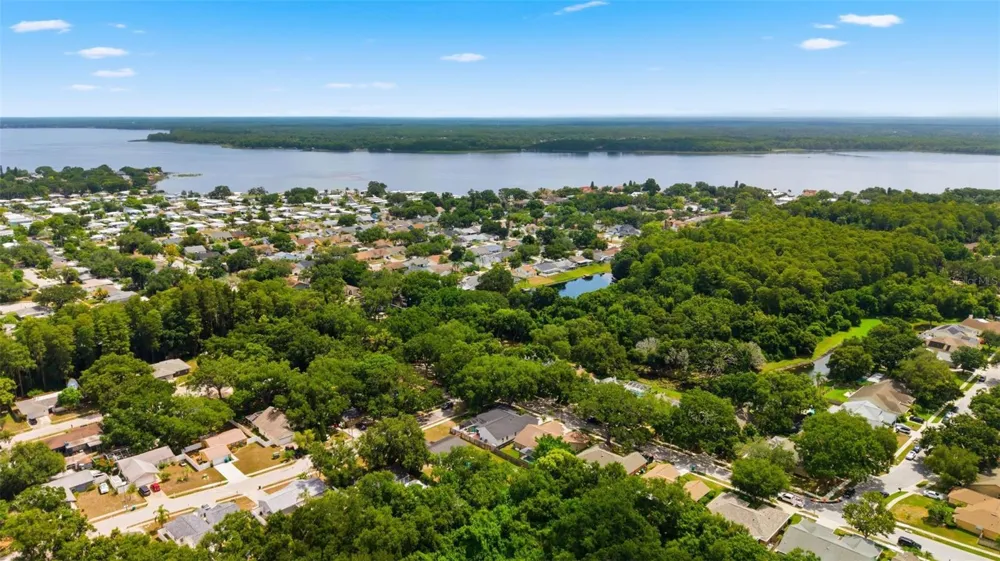 3040 WINDRIDGE OAKS DRIVE Palm Harbor, FL 34684