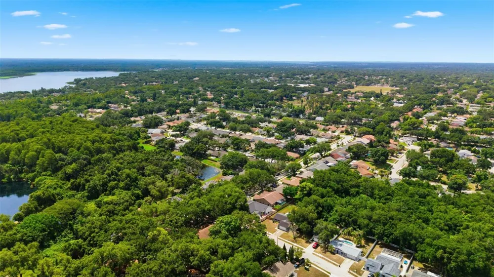 3040 WINDRIDGE OAKS DRIVE Palm Harbor, FL 34684