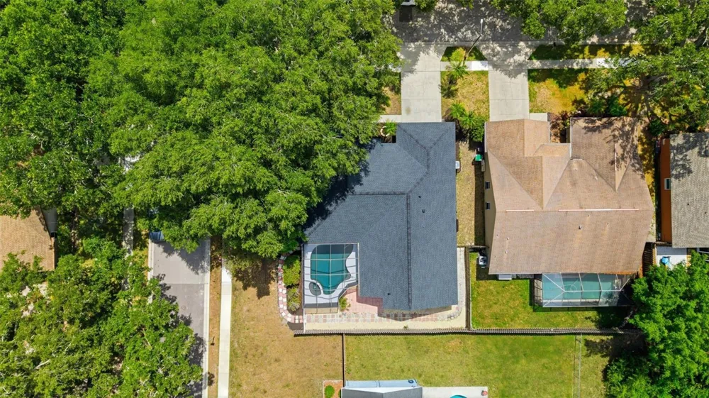 3040 WINDRIDGE OAKS DRIVE Palm Harbor, FL 34684