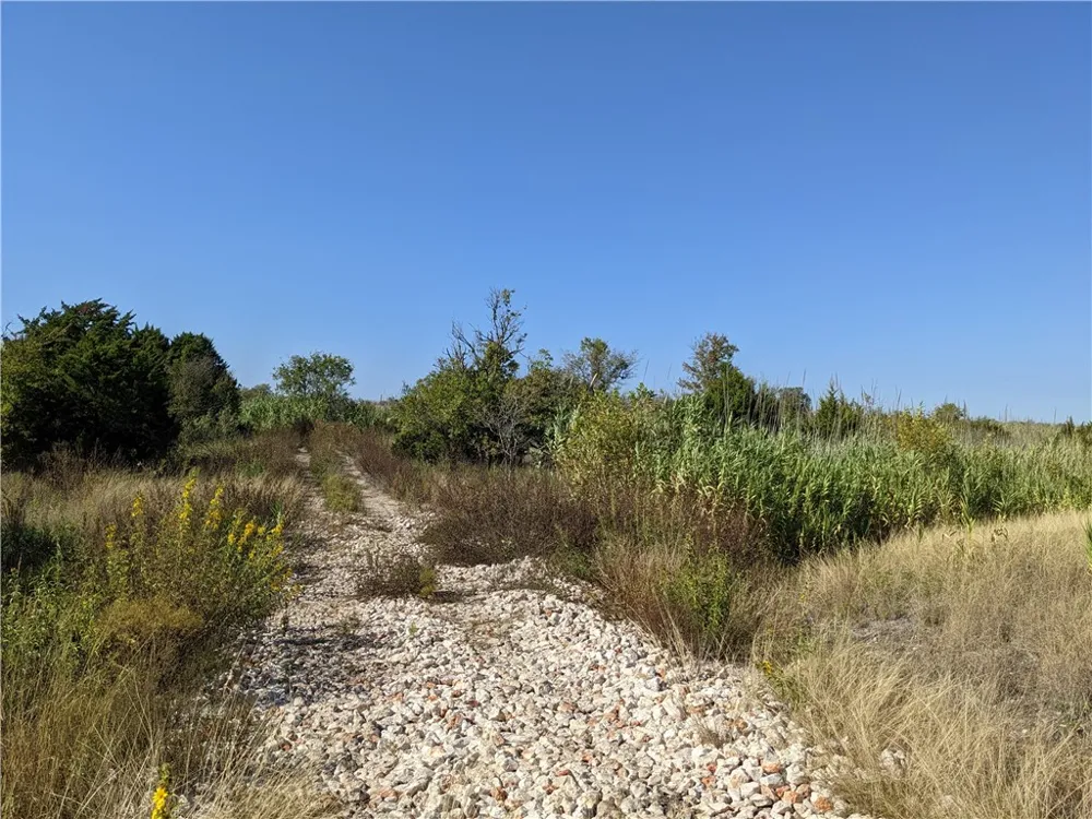 5534 Williamson Road Creedmoor, TX 78610