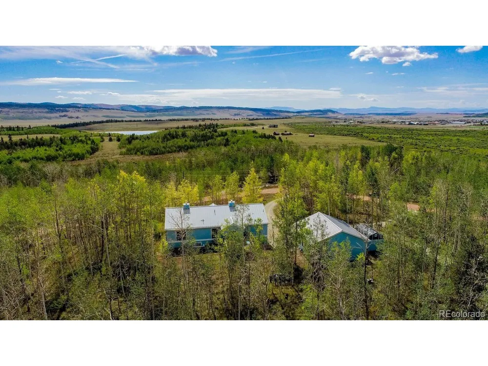 331 Canthook Lane Fairplay, CO 80440
